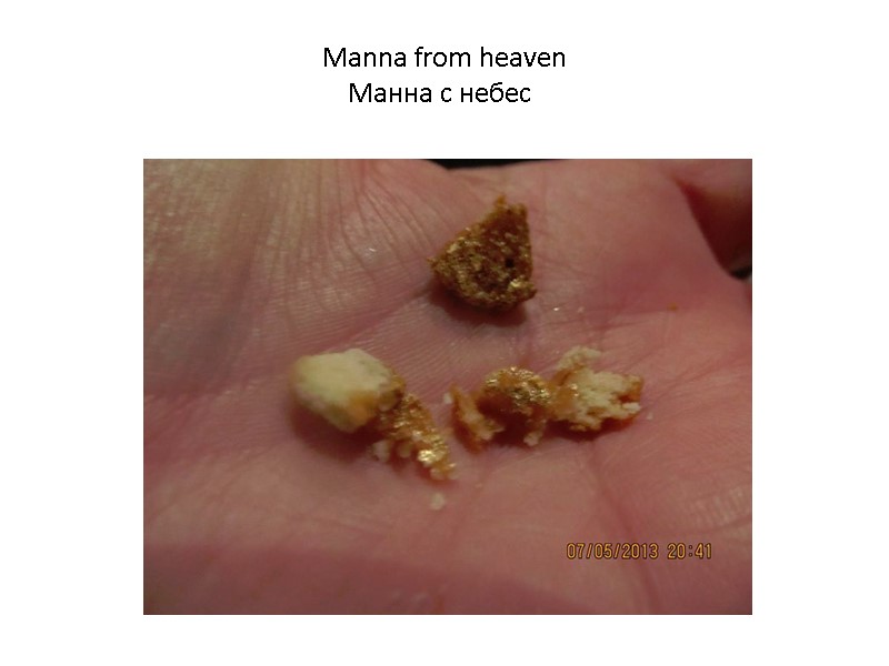 Manna from heaven Манна с небес